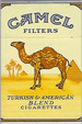 Camel